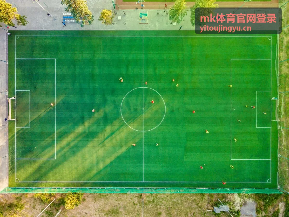 MK体育智能分析工具封面